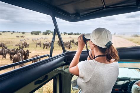 Beyond the Beasts: Exploring the Unexpected Magic of Safari